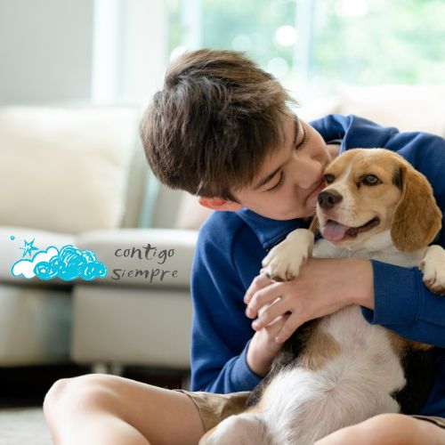 siempre contigo
