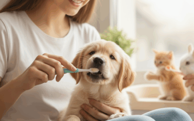 Cinco Pasos Esenciales para la Higiene Dental Saludable de tu Mascota 🦷🐾✨
